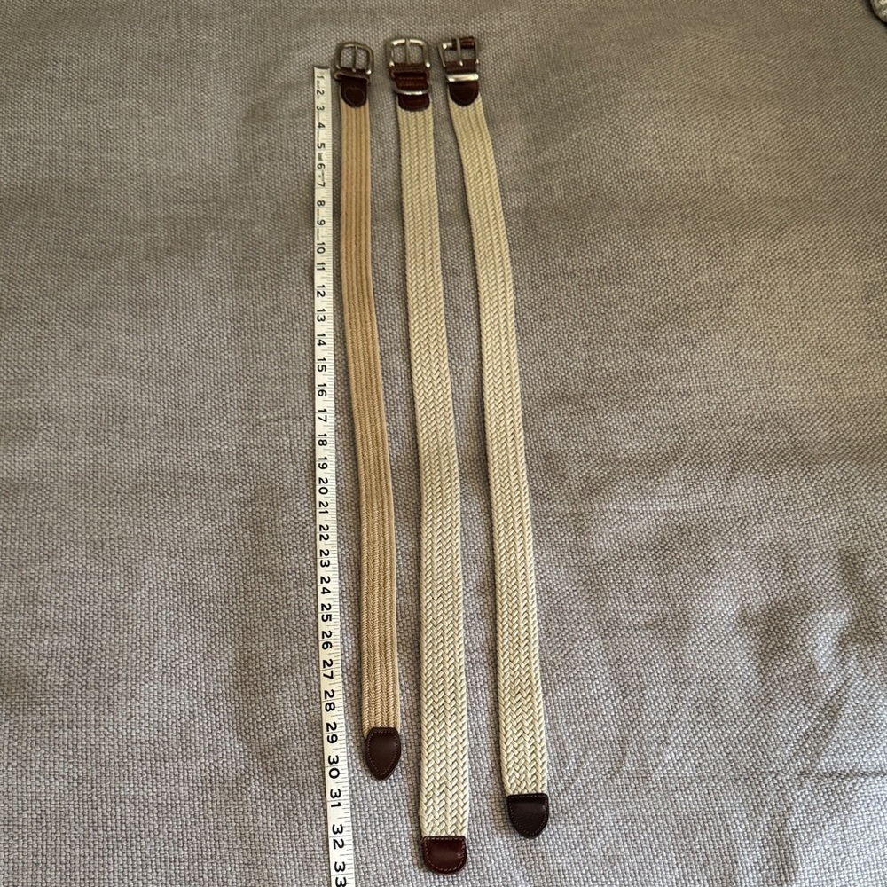 The Limited Cream and Brown Woven Belts
